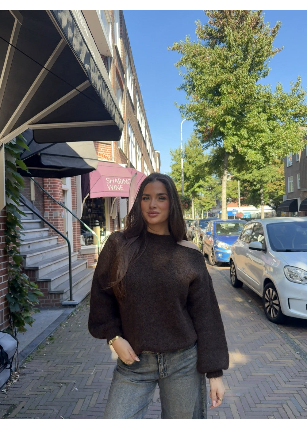 Wild honey trui brown